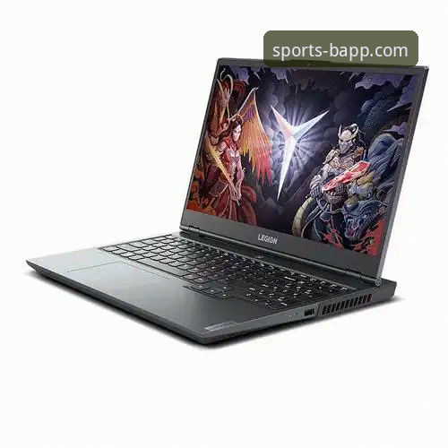 BSPORTS下载怎么样？新手体验全面评测与操作指南